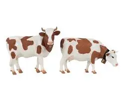 [331555] Pola 331555 G Nuevo